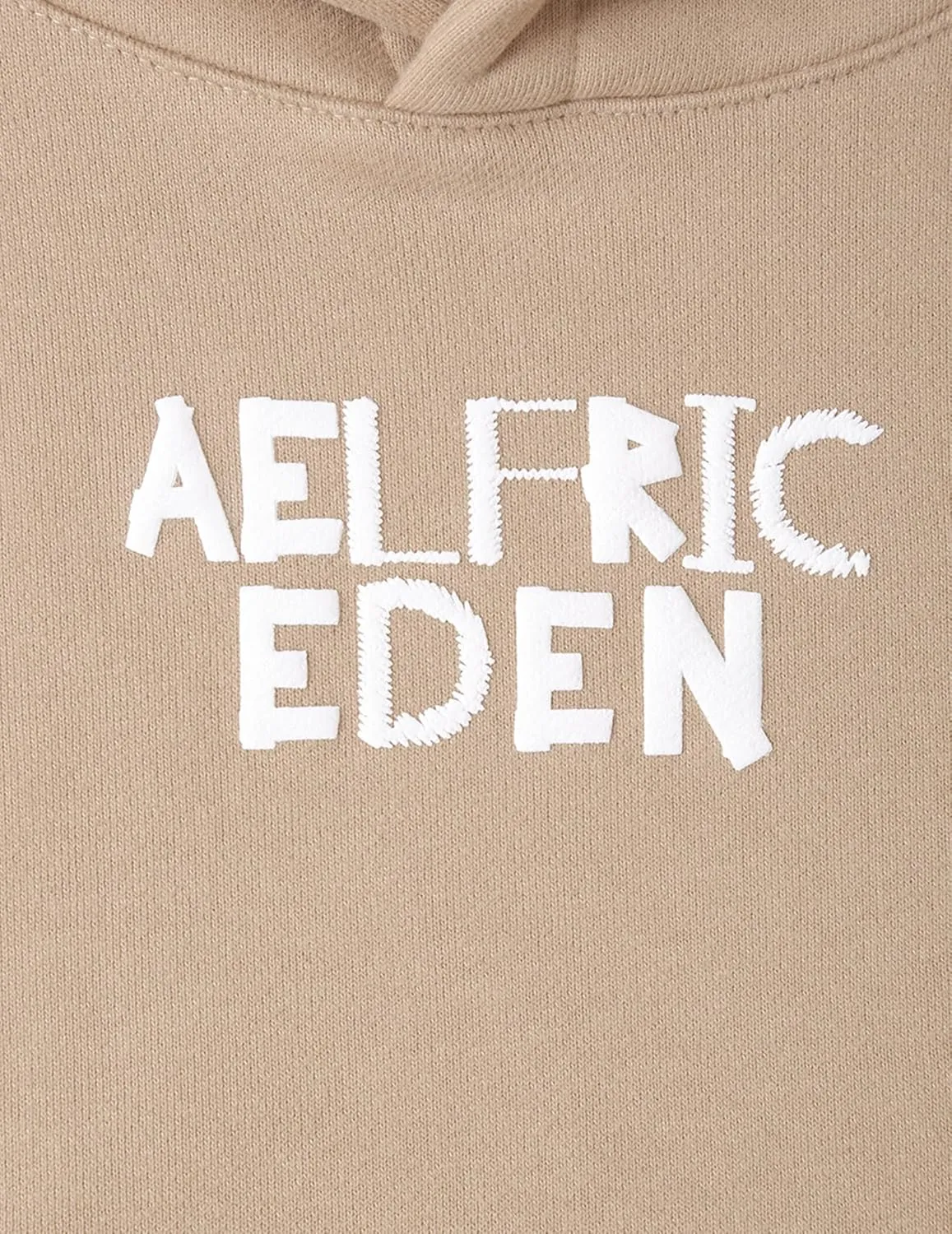 Aelfric Eden Women Hoodies Oversized Fleece Sweatshirts Unisex Solid Basic Letter Hoodie Long Sleeve Fall Y2k Pullovers Top