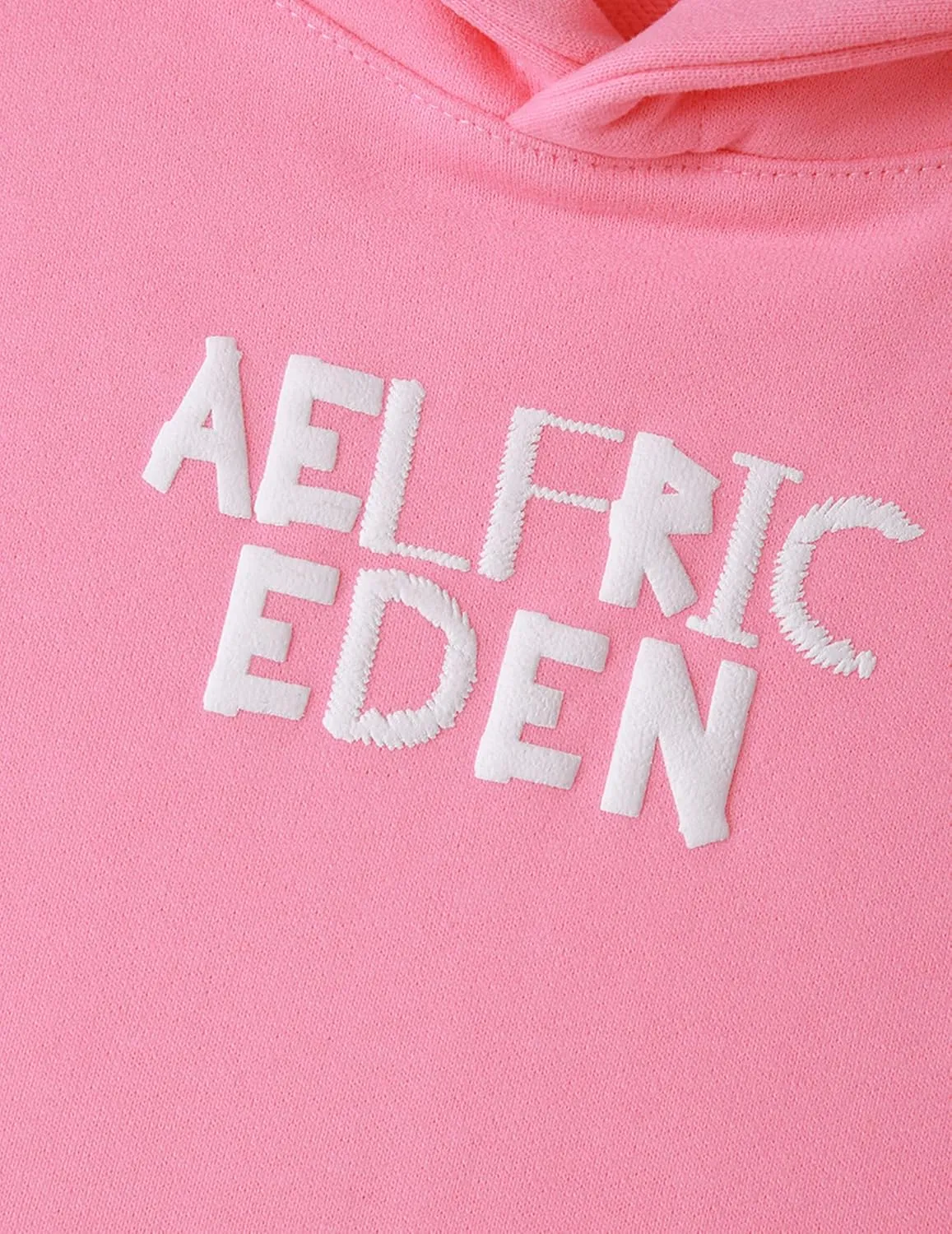 Aelfric Eden Women Hoodies Oversized Fleece Sweatshirts Unisex Solid Basic Letter Hoodie Long Sleeve Fall Y2k Pullovers Top