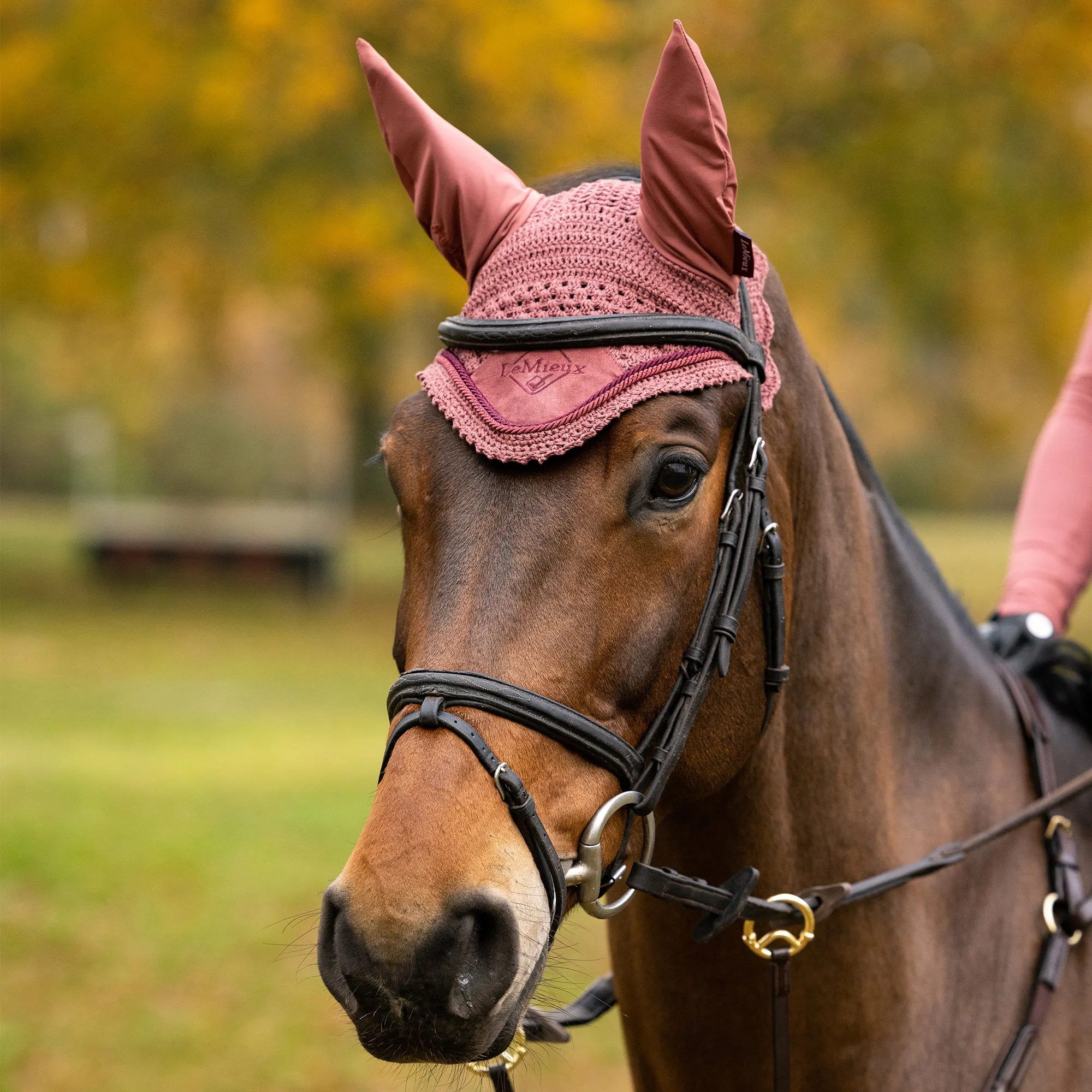 Lemieux Classic Fly Hood - Orchid