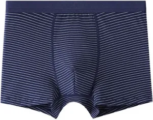 Men's Thong Underwear Thong G-String Underpants Mesh Thongs Breathable Briefs Bikini Sexy Lingerie